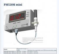 Thiết bị giám sát bức xạ Tia X, gamma PM520M mini